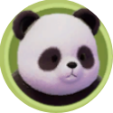 판다