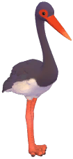 먹황새