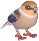콩새