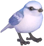 푸른박새