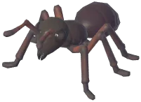 개미
