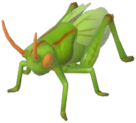 여치