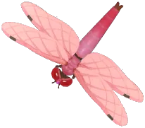 찔레잠자리