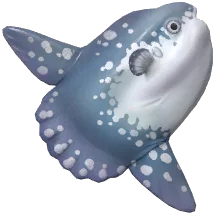 개복치