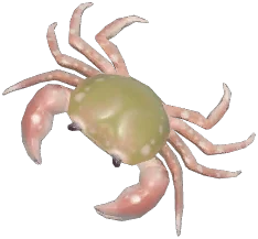 민물게