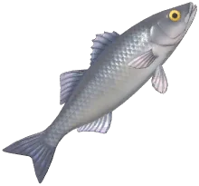배스