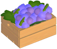 포도