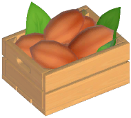 카카오