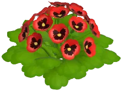 팬지