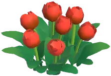 튤립
