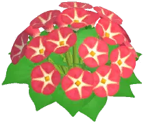 나팔꽃